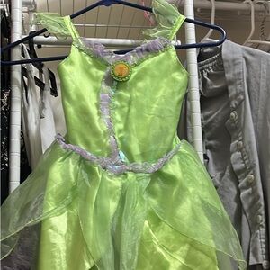 Disney Green and Purple Fairy Dance Costume